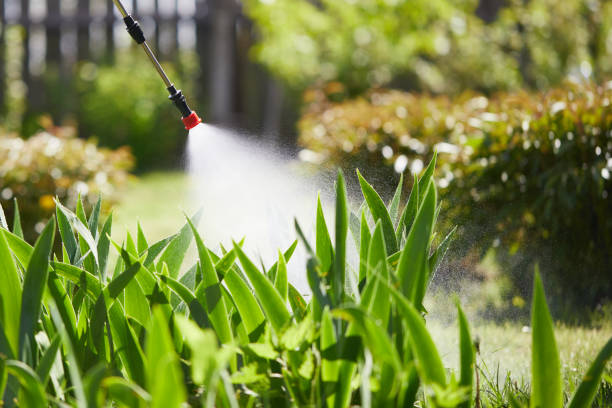 24/7 Emergency Termite Control experts in Irrigon, OR